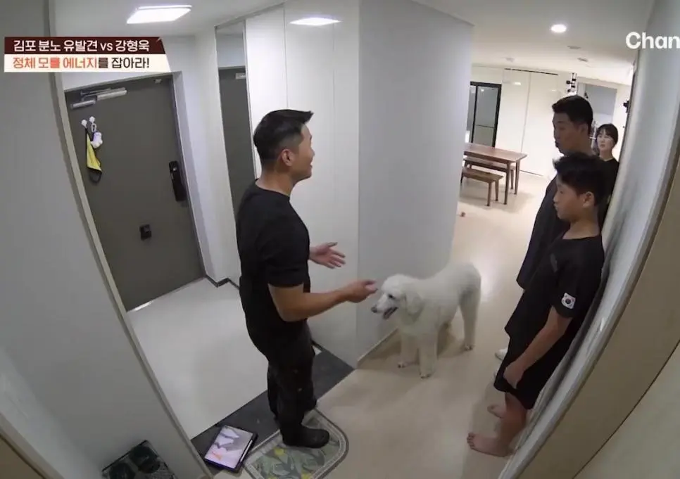 강형욱이 멱살 잡자 바로 공손해지는 김포 분노 유발견.mp4