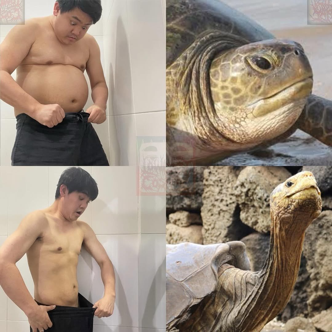 살빼야 하는 이유