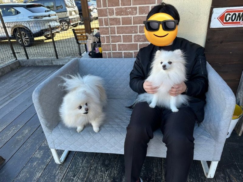 자리를 친구한테 뺏긴 애 표정