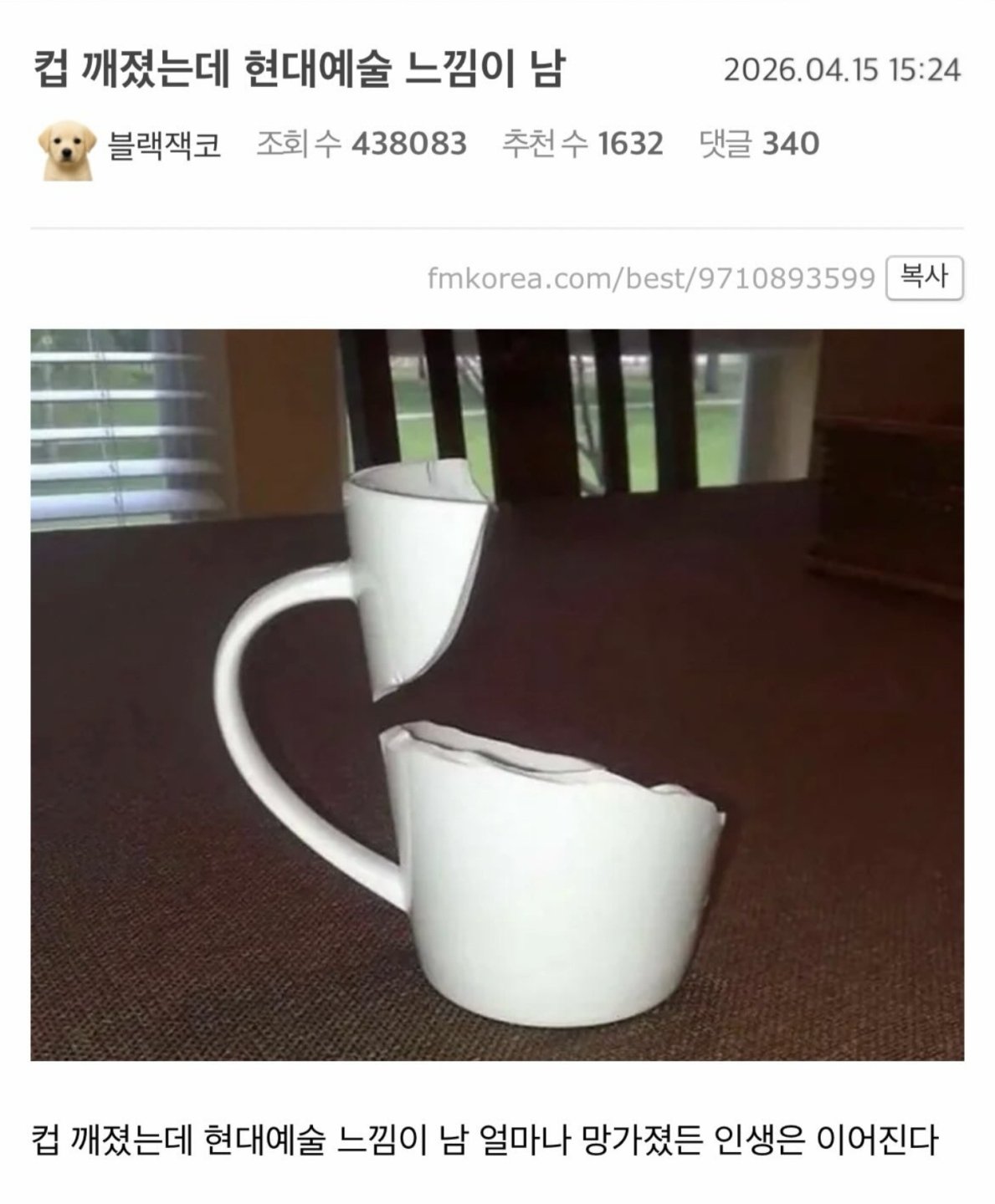 컵 깨졌는데 현대예술 느낌같음