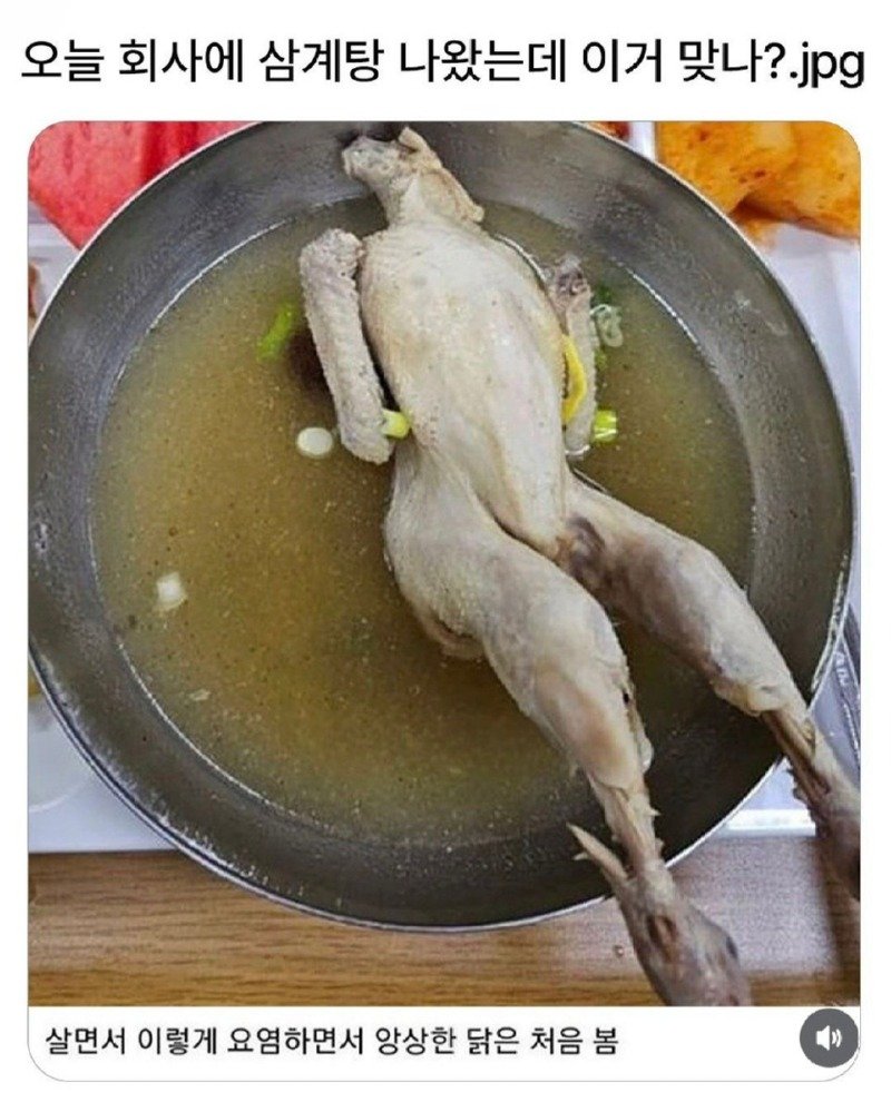 오늘 회사에서 삼계탕 나왔는데 이거 맞아?