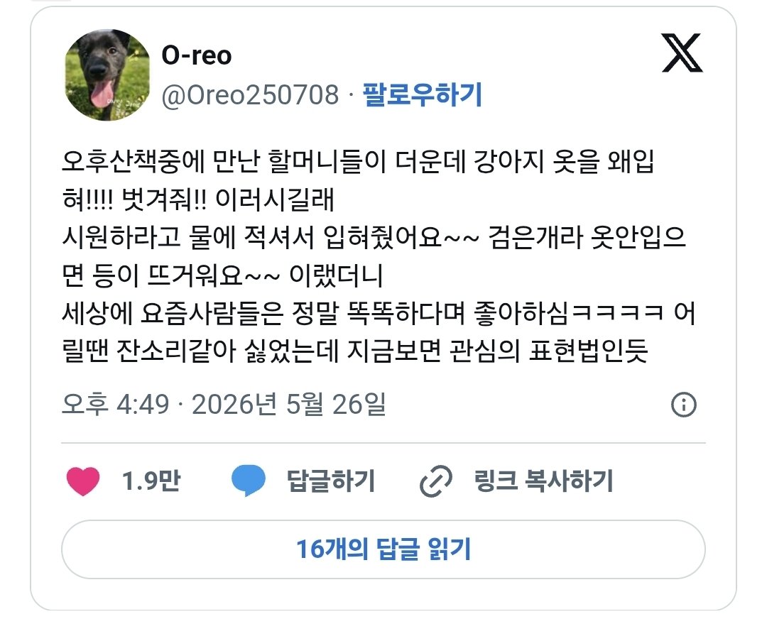 할머니들이 날 더운데 개옷 왜 입혔냐고 물어봄.jpg