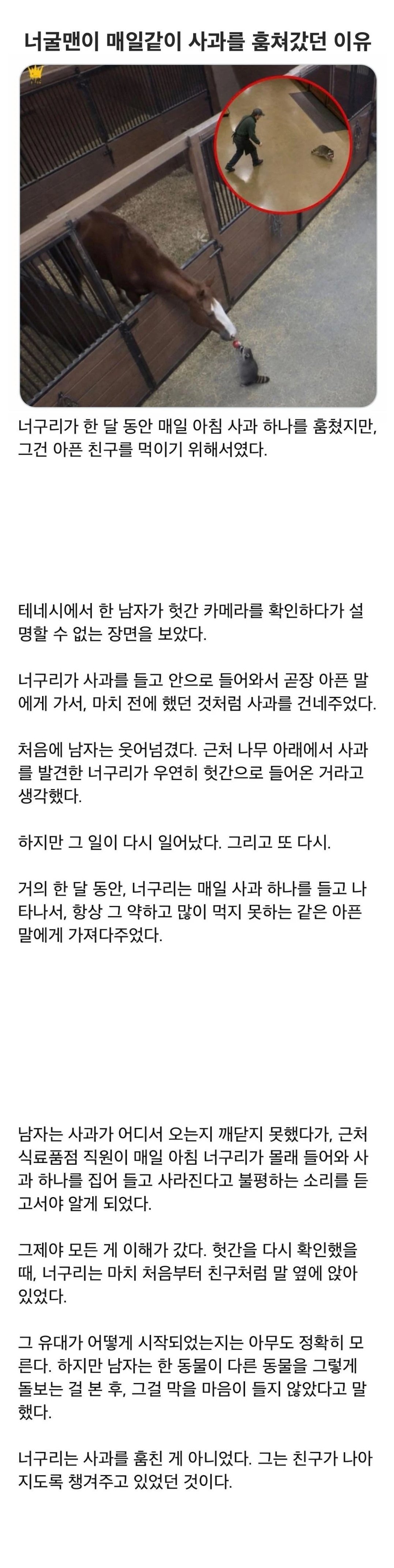 너굴맨이 매일같이 사과를 훔쳐갔던 이유.jpg