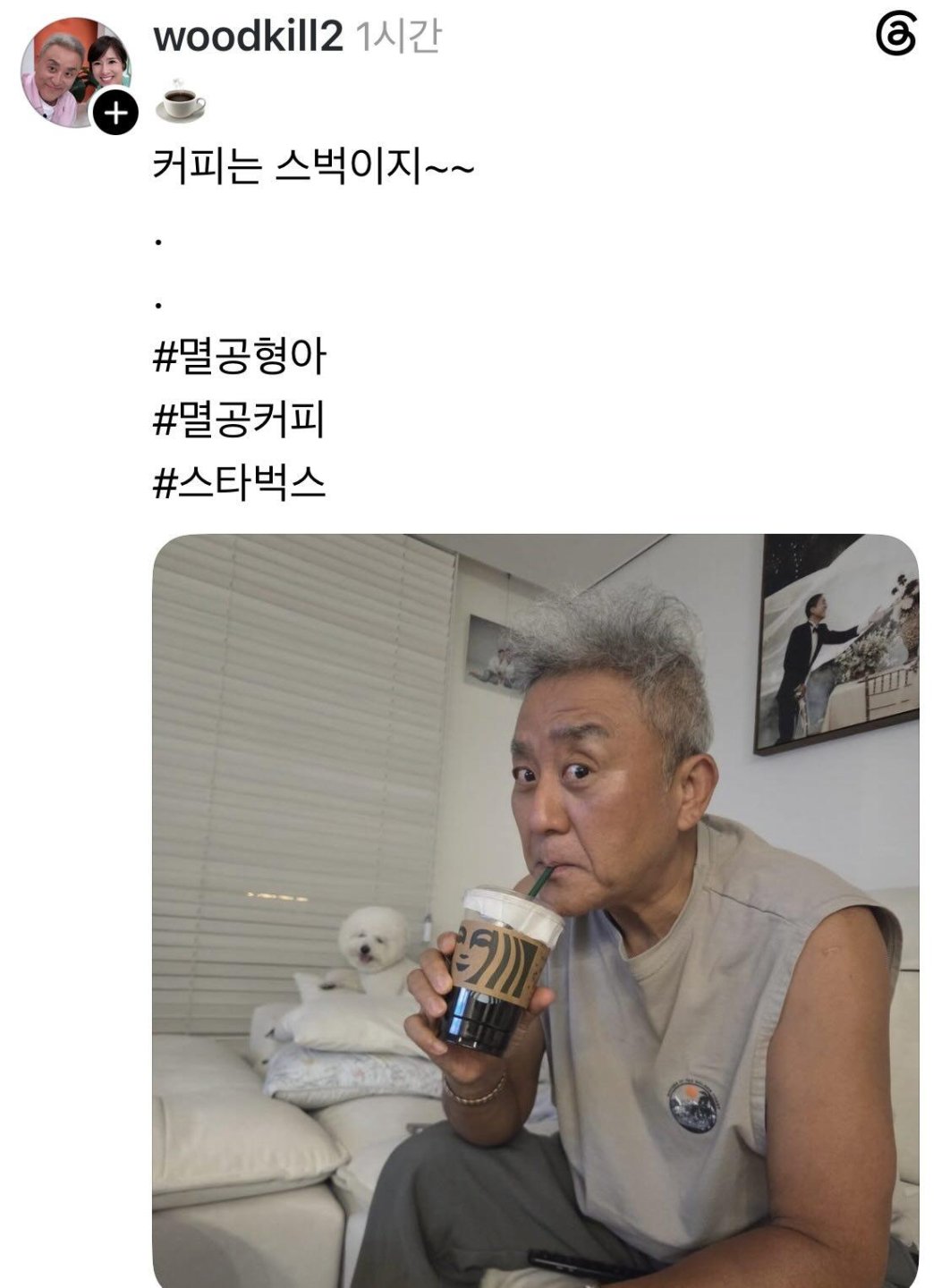 아 ㅅㅂ 조롱이 선을 넘네