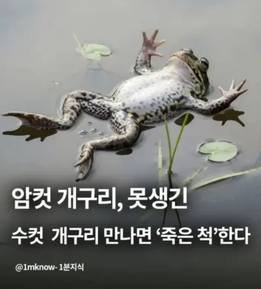못생긴거 보면 죽은 척