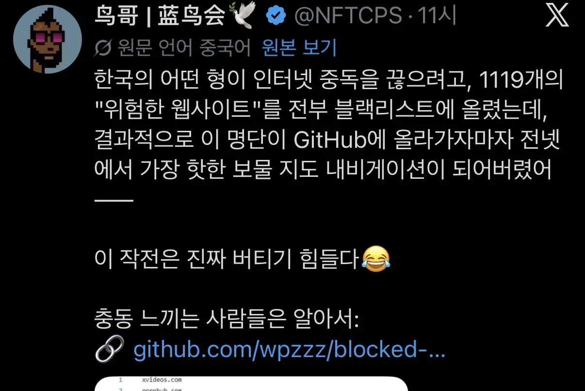 한국 정부 유해 차단 사이트 특.jpg