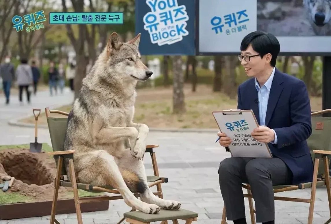 “오늘 게스트는 탈출의 황제, 늑구씨 입니다!”