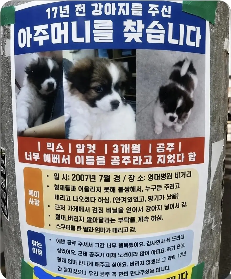 17년 전 강아지 주신 아주머니를 찾습니다.jpg