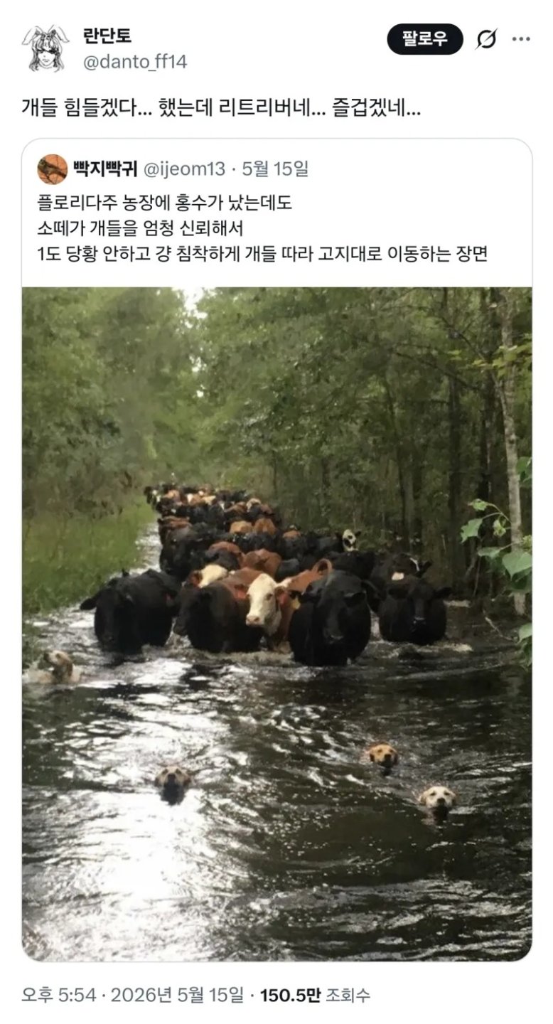 챱츄 직업?만족도 올라가는 중