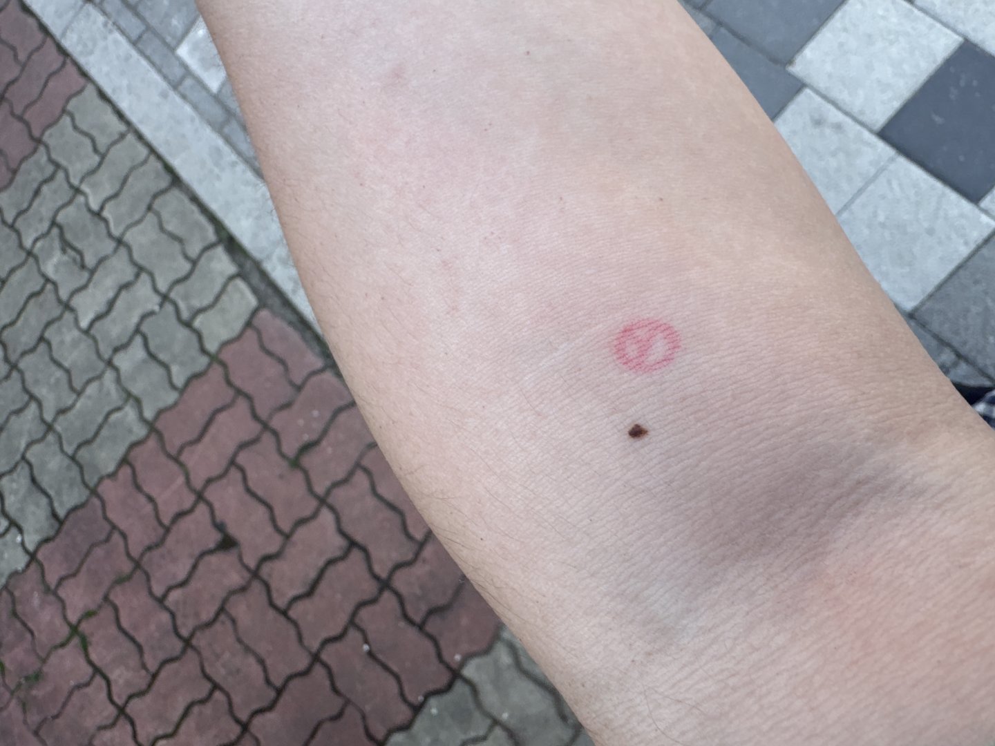 내란범들 판사가 단죄안하면 국민이 하자. 투표밖에 없다