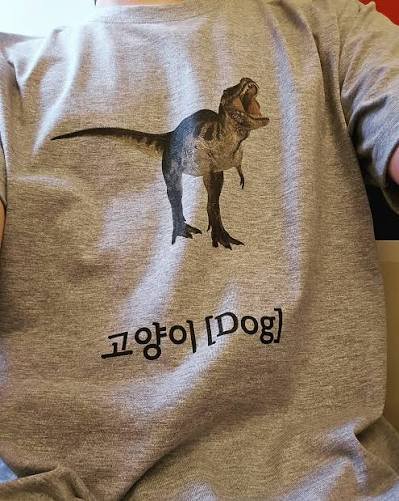 맞는게 하나도 없는 티셔츠