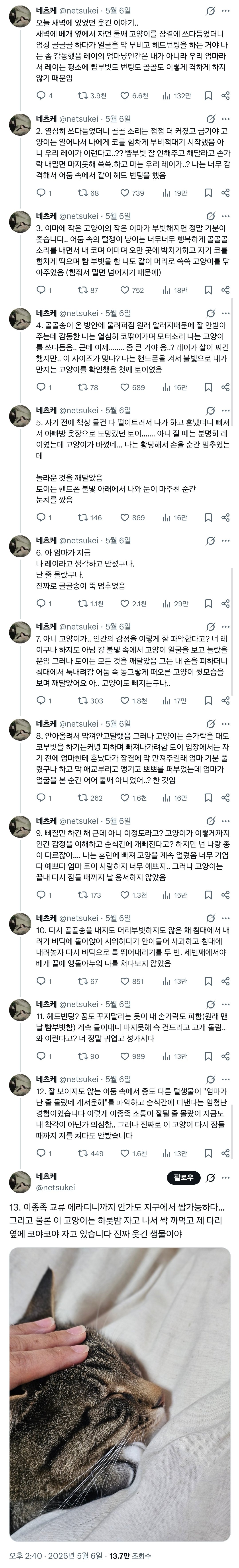 잠결에 고양이 헷갈린 사람