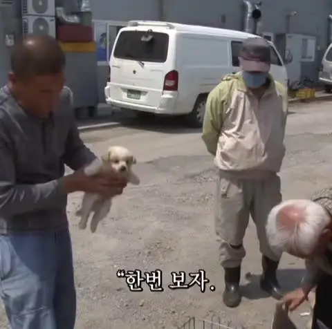 시장에서 만원주고 산 똥개