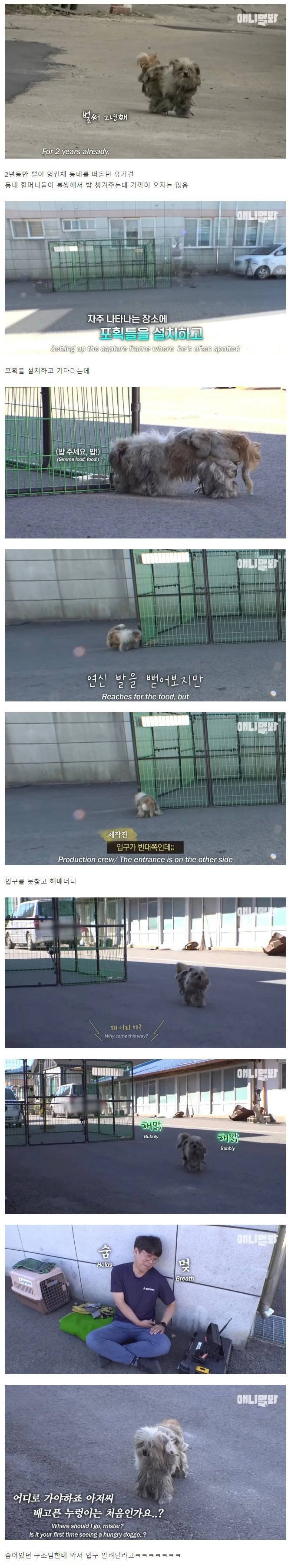 출연자와 짜고치던 동물농장 구조영상