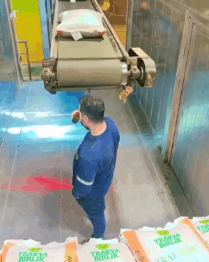 커피 마시면서 일 대충 하는 직원 gif
