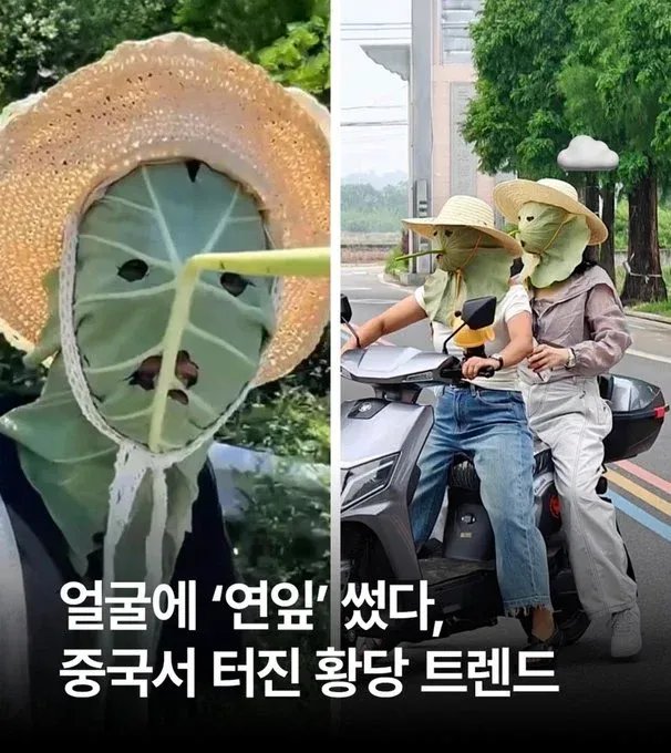 중국에서 퍼지고 있다는 햇빛차단법