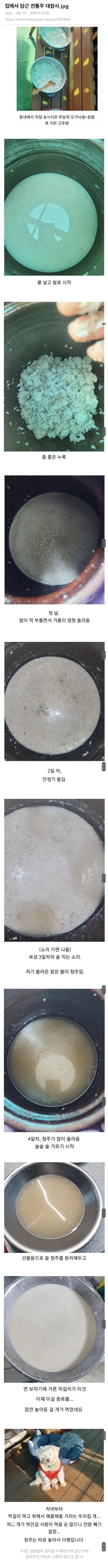 집에서 담근 전통주 대참사