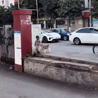 또래랑 잘 노는 어린이 gif