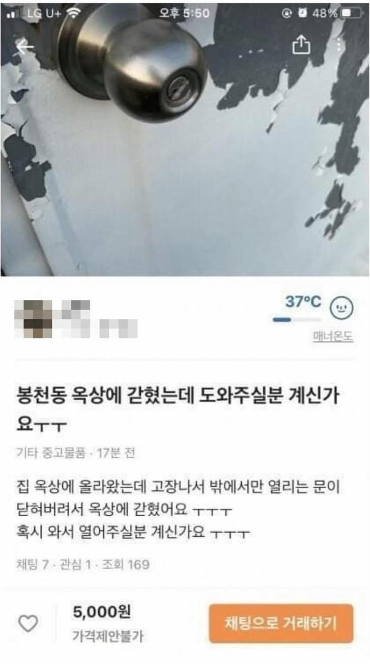 5천원 당근 알바