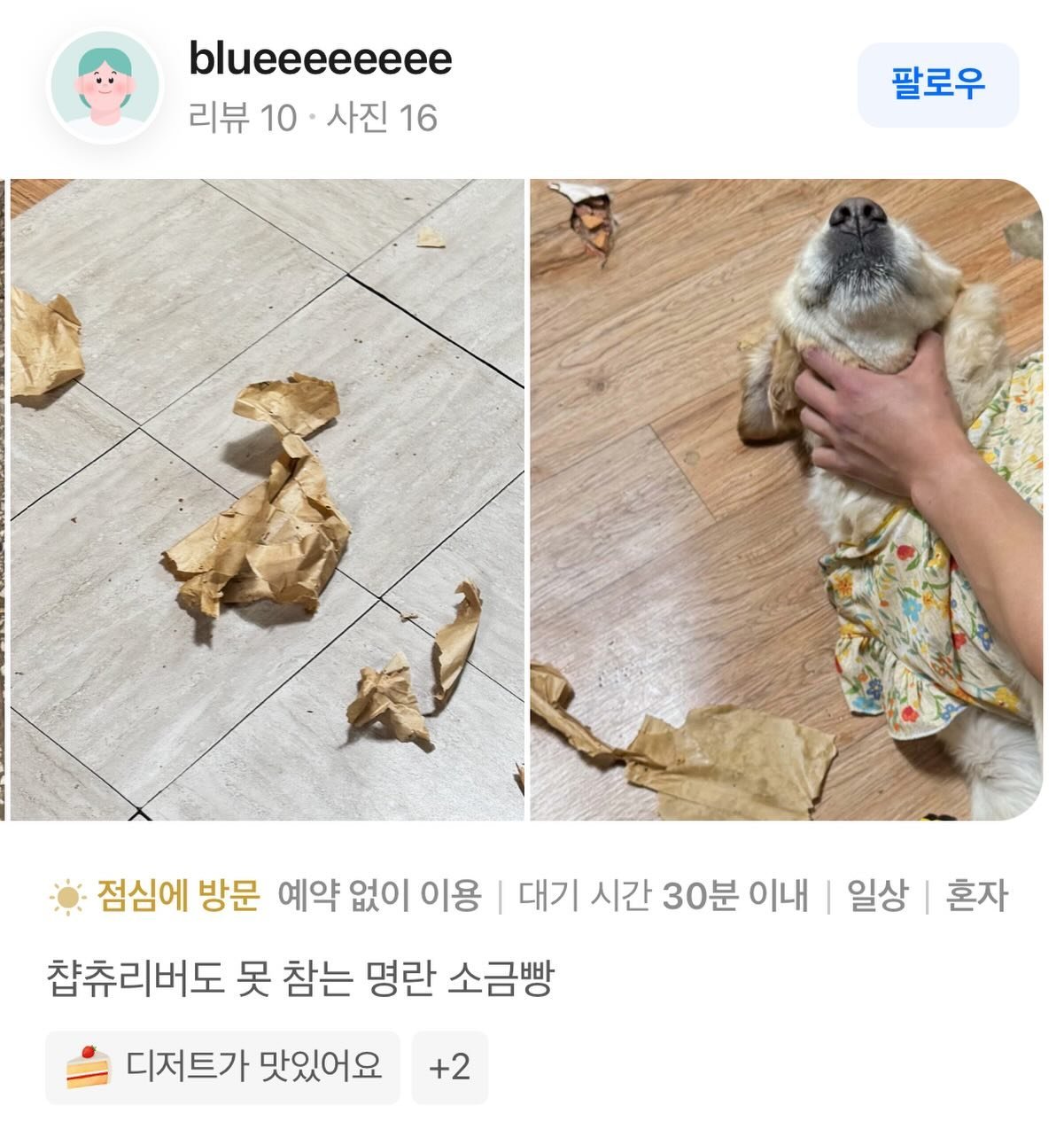 ㄱㅐ새끼야) 맛있는 빵 후기